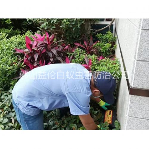 西南住宅环境灭鼠工程